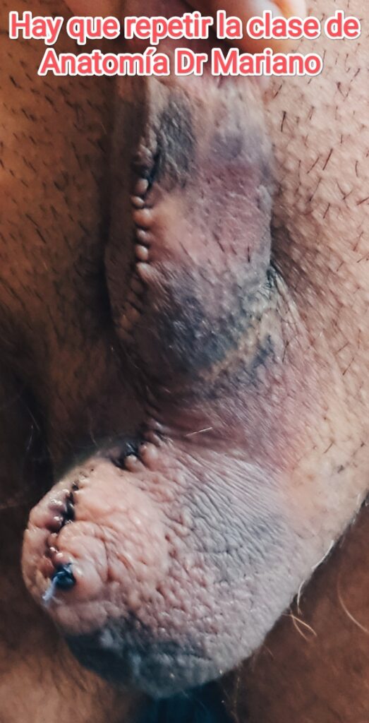 mariano oropeza aguilar