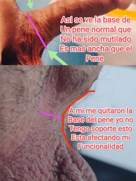 mariano oropeza aguilar