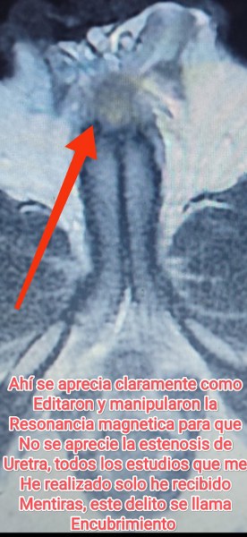 jose andres olivo garate